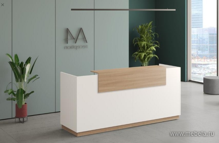 стойка ресепшн A4 +